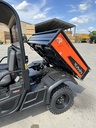 Kubota RTV-X1110 N°A5KJ1GDBEPG016339